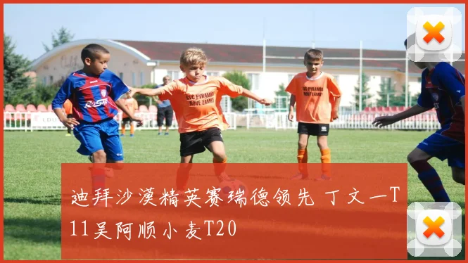 迪拜沙漠精英赛瑞德领先 丁文一T11吴阿顺小麦T20